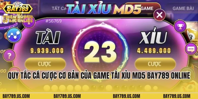 Quy tắc cá cược cơ bản của game tài xỉu MD5 Bay789 online